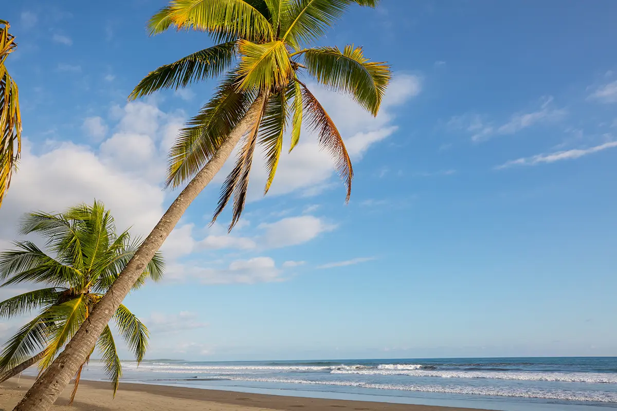Tropical weather