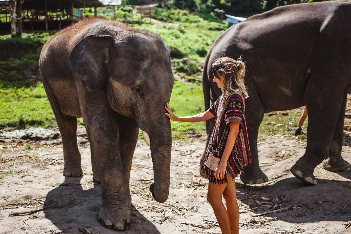 Fun for the Whole Family in Pattaya